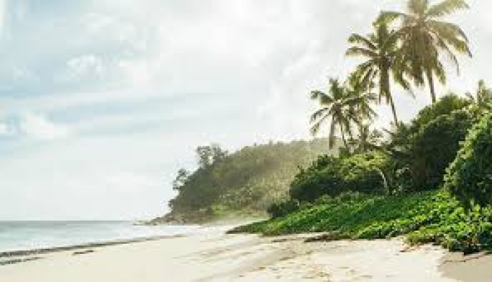 Wayanad Wildlife Sanctuary